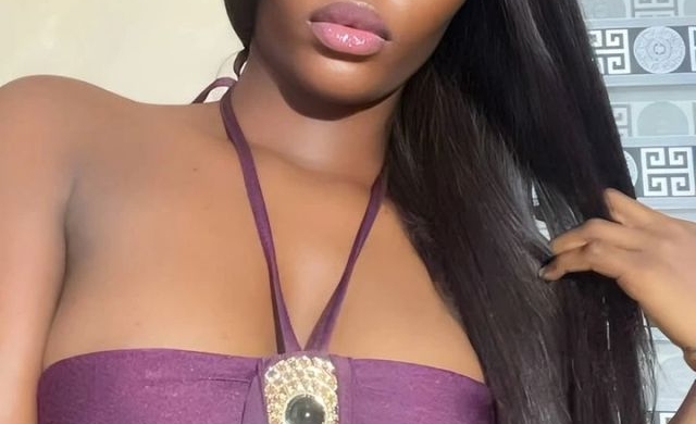 Vixenxx